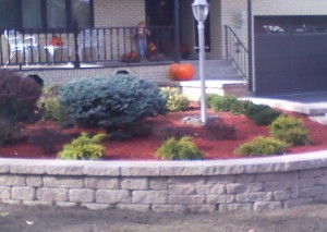 Lawn Landscape Albany Ny, Red Maple Landscaping Voorheesville Tn